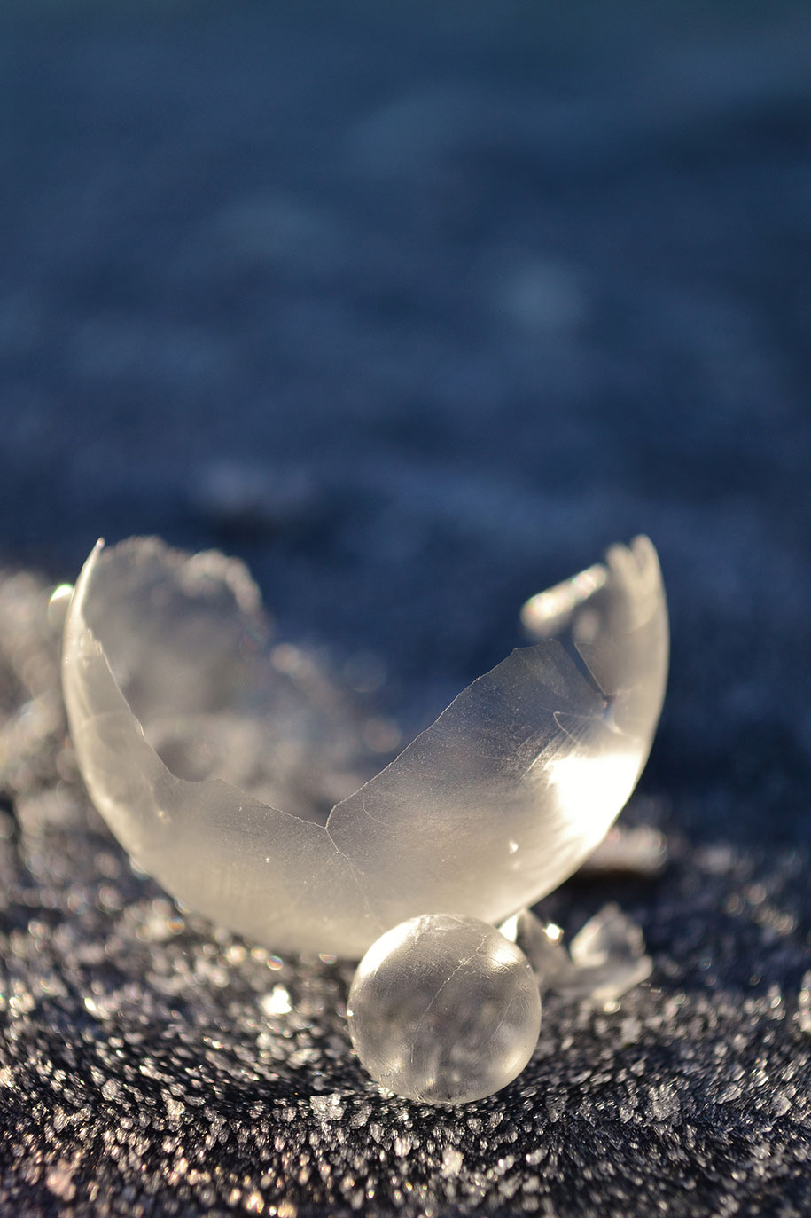 frozen-bubbles-angela-kelly-2.jpg