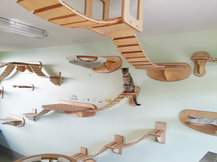 Rooms Turned Into Cat Playgrounds By Goldtatze