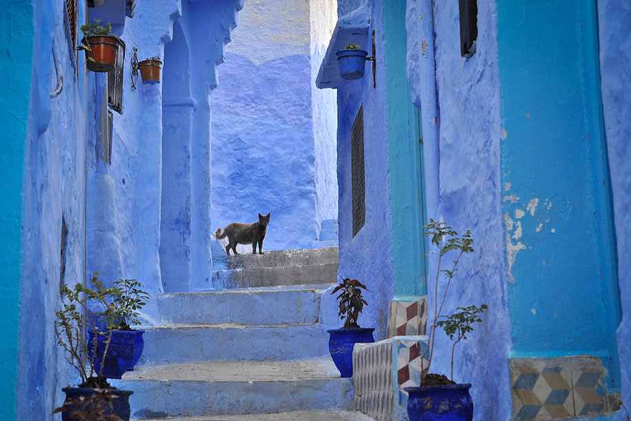 blue-town-walls-chefchaouen-morocco-2