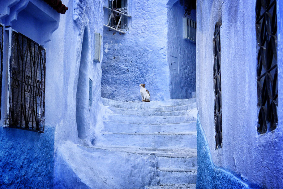 blue-town-walls-chefchaouen-morocco-5