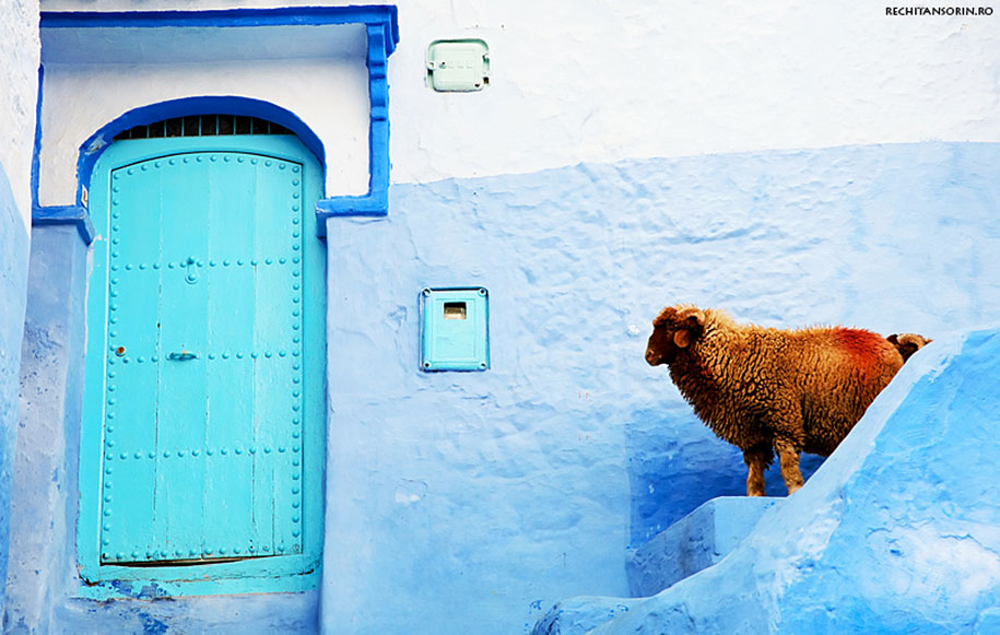 blue-town-walls-chefchaouen-morocco-7