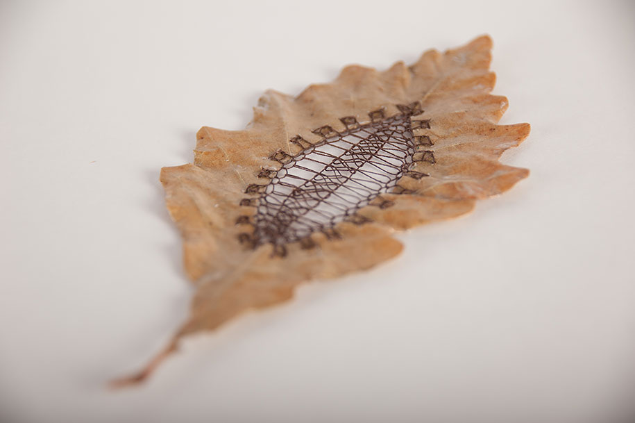 embroidery-art-stitched-leaves-hillary-fayle-10