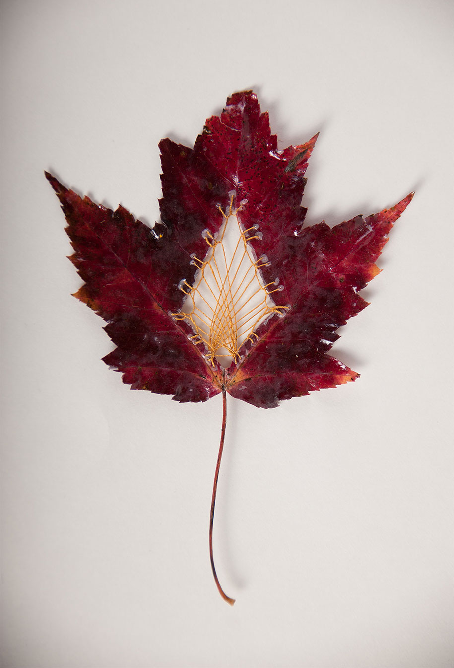 embroidery-art-stitched-leaves-hillary-fayle-15