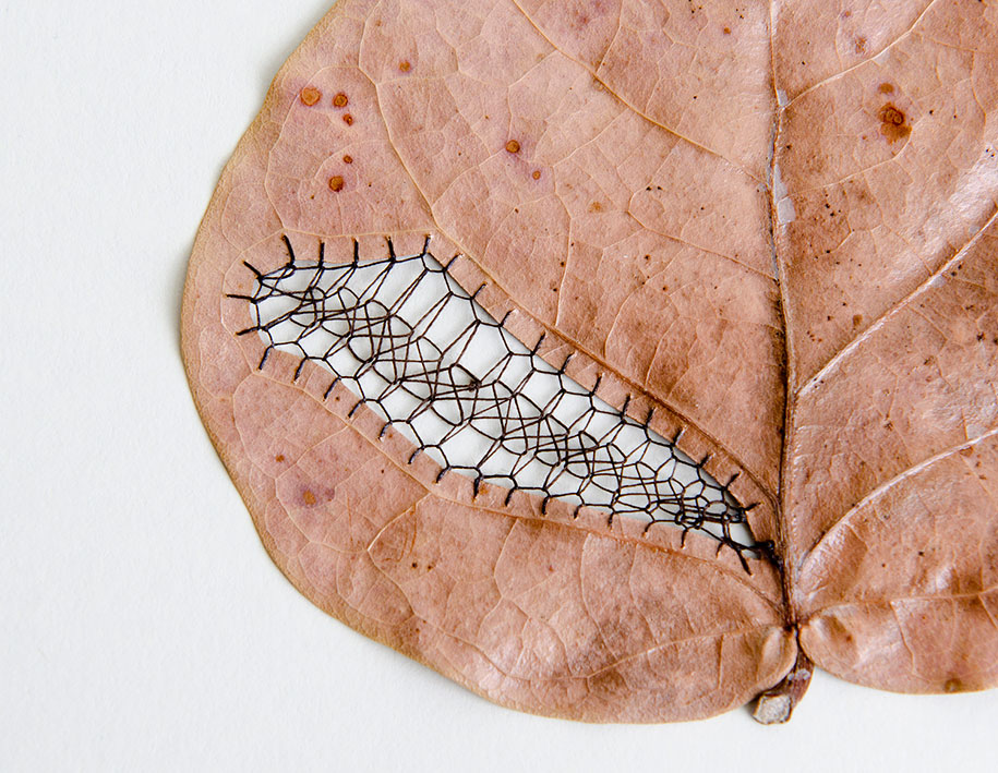 embroidery-art-stitched-leaves-hillary-fayle-5