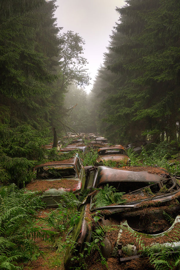 chatillon-car-graveyard-abandoned-cars-v