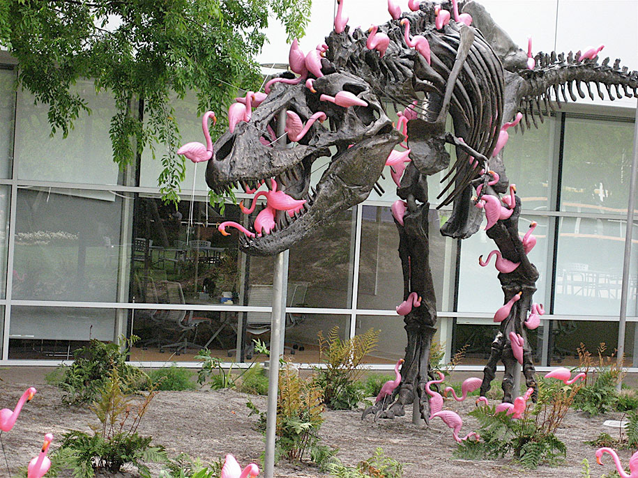 google-campus-dinosaur-stan-flamingos-1