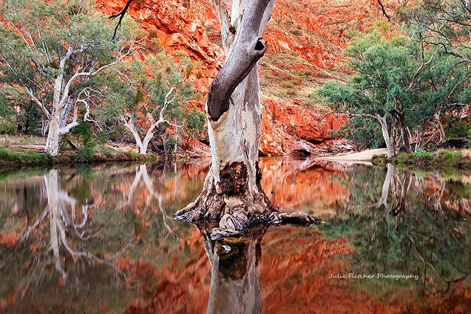 wild-nature-landscape-photography-australia-julie-fletcher-9