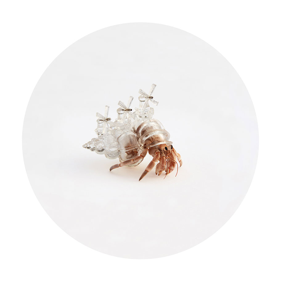 3d-printed-hermit-crab-shells-aki-inomata-1