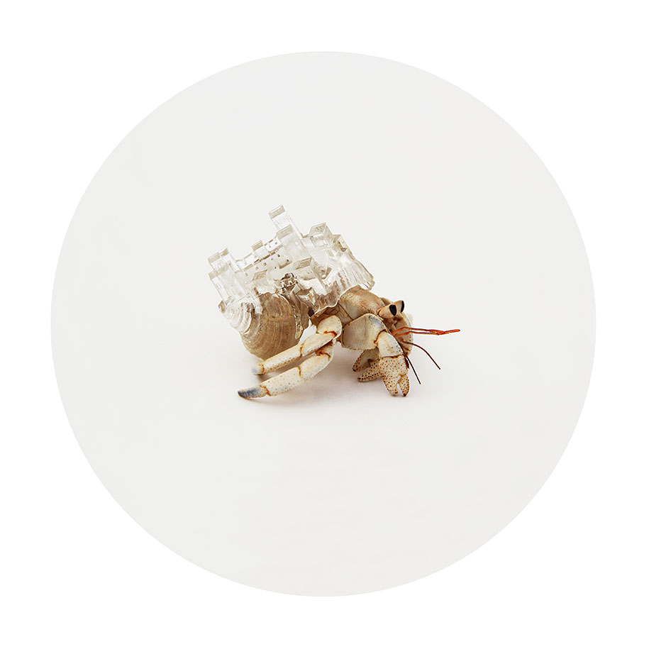 3d-printed-hermit-crab-shells-aki-inomata-6
