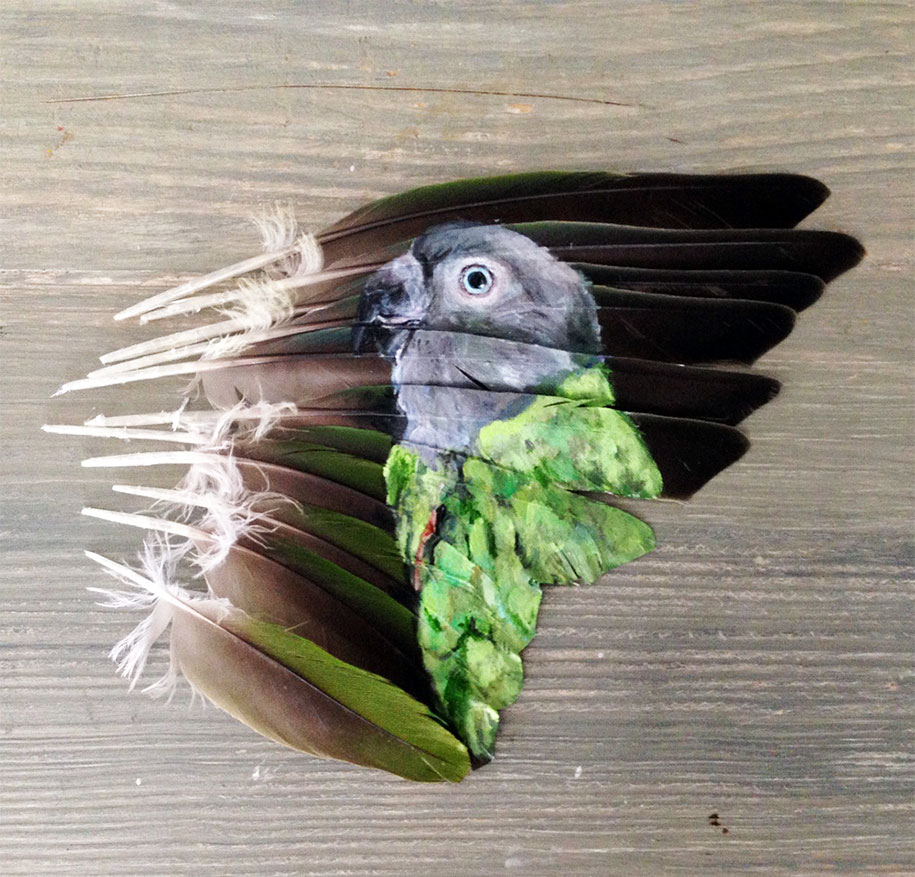 animal-bird-painting-feathers-oil-acrylic-paint-jamie-homeister-13