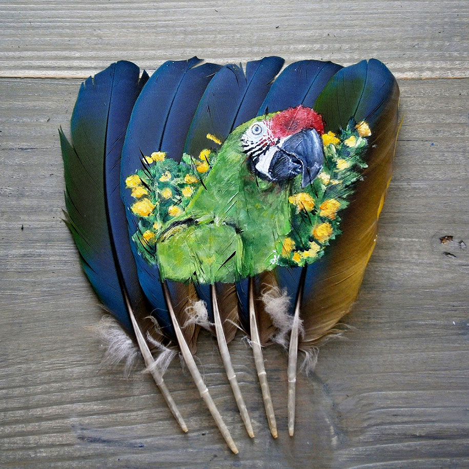 animal-bird-painting-feathers-oil-acrylic-paint-jamie-homeister-15