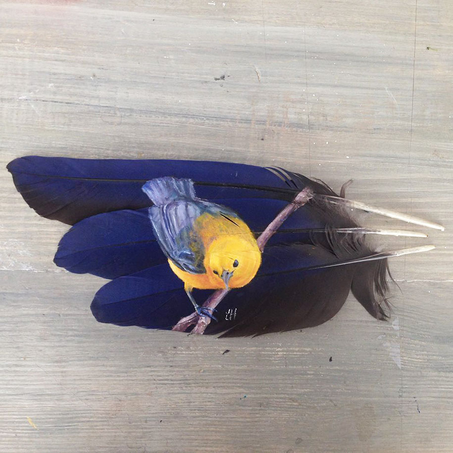 animal-bird-painting-feathers-oil-acrylic-paint-jamie-homeister-3