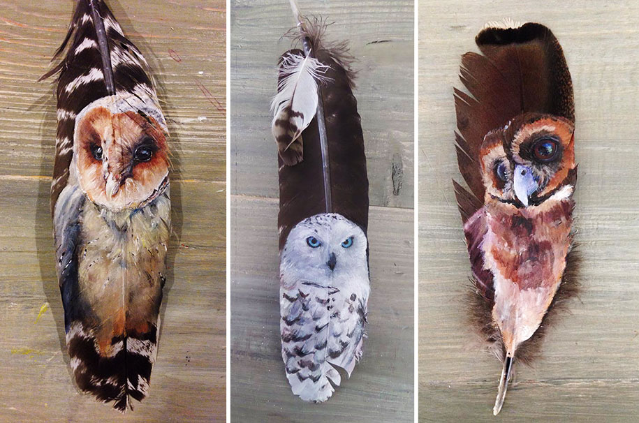 animal-bird-painting-feathers-oil-acrylic-paint-jamie-homeister-6