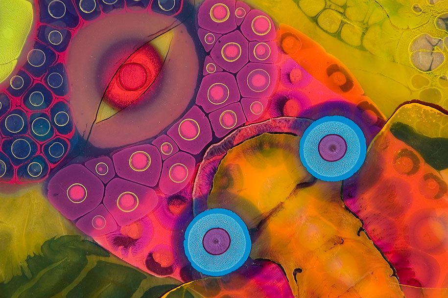 http://www.demilked.com/magazine/wp-content/uploads/2014/11/psychedelic-art-paint-resin-bruce-riley-5.jpg
