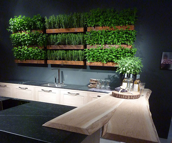 plants-green-interior-design-ideas-14