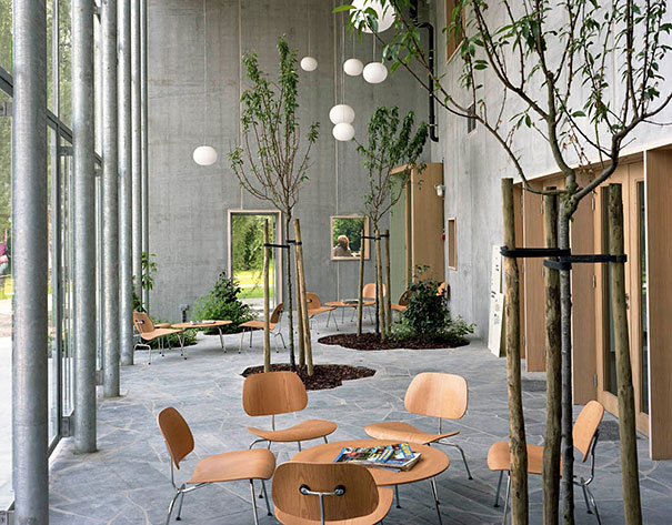 plants-green-interior-design-ideas-17