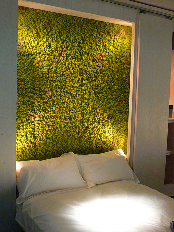 plants-green-interior-design-ideas-22