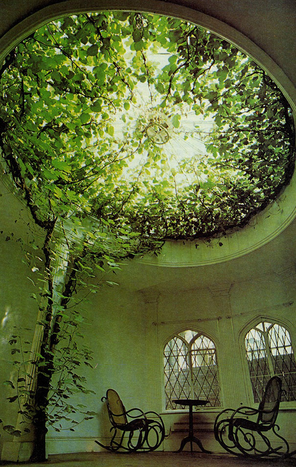 plants-green-interior-design-ideas-28