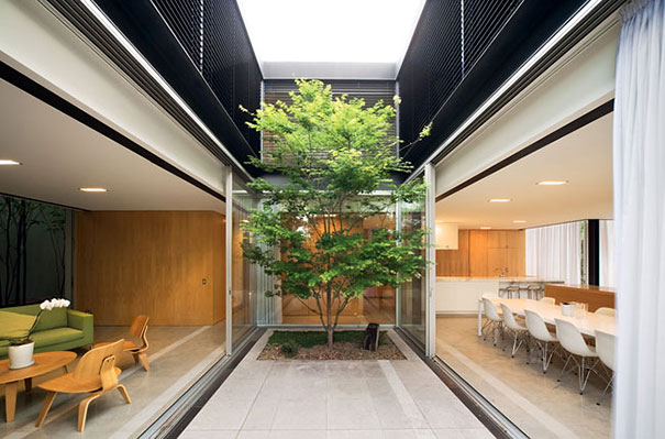 plants-green-interior-design-ideas-31