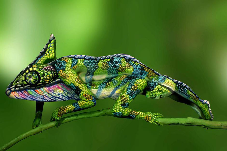 nature-animal-bodypainting-chameleon-johannes-stoetter-88