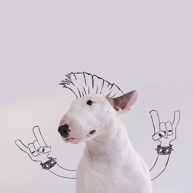 dog-interactive-illustrations-jimmy-choo-rafael-mantesso-thumb640.jpg