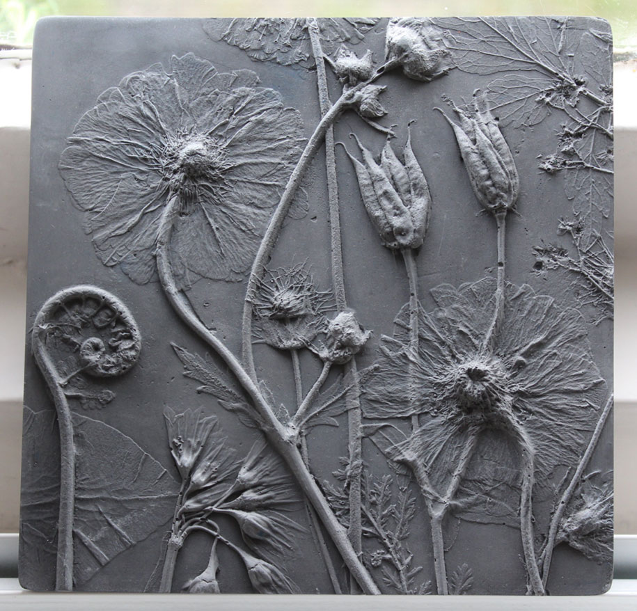 artificial-plaster-cast-flower-fossils-rachel-dein-9