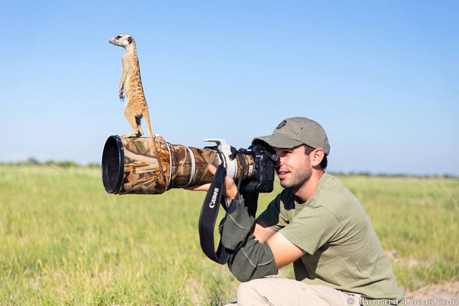 nature-photographer-behind-scenes-animals-21