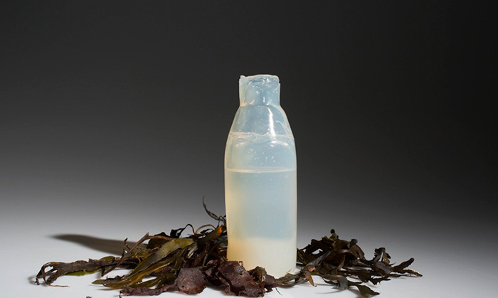 biodegradable-algae-plastic-replacement--ari-jonsson-7