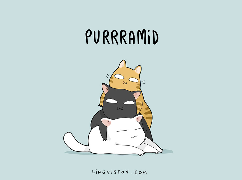8 Adorable Puns Only Cat Owners Will Recognize