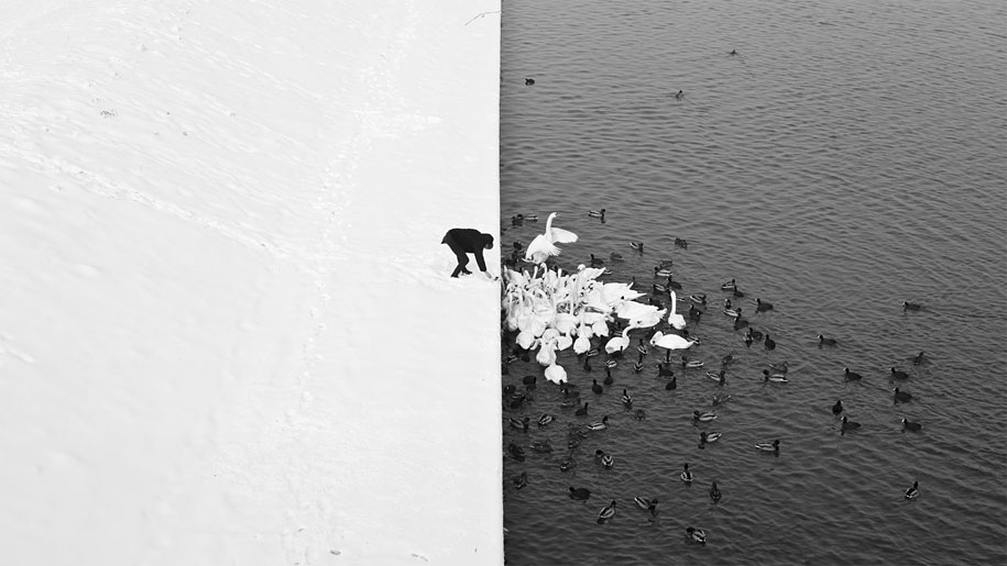 animals in winter 10 - 19 lindas fotografias de animais selvagens durante o inverno