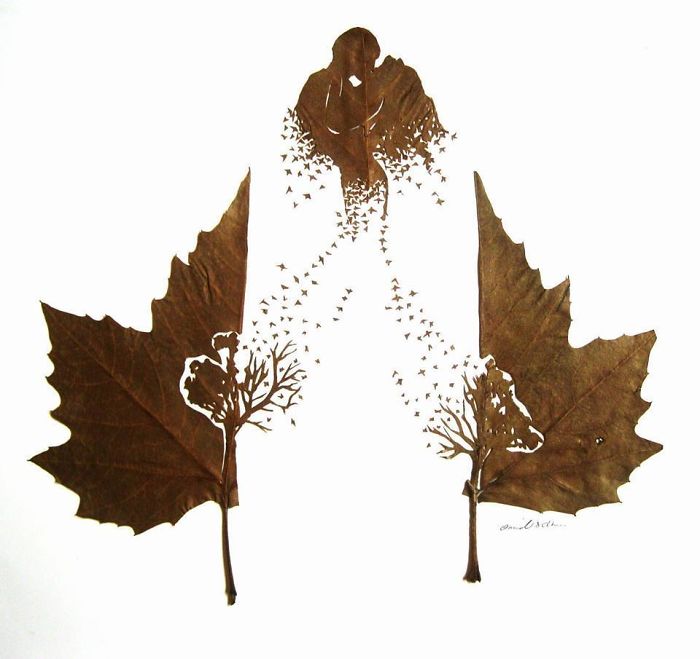 intricate-leaf-cuttings-omid-asadi-13