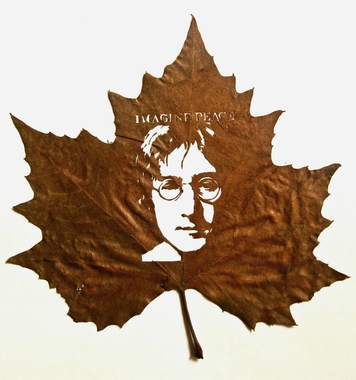intricate-leaf-cuttings-omid-asadi-16