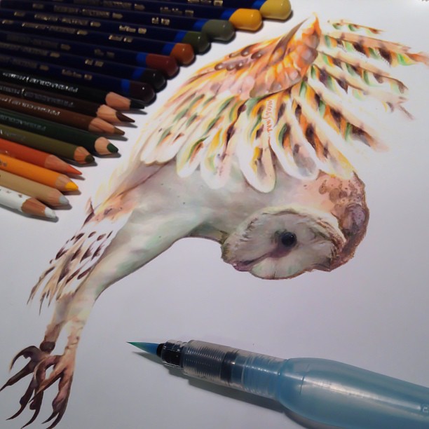 Artist Draws Gorgeous Animals And Shows Us What She Made Them With