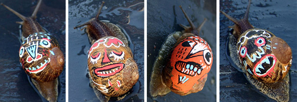 painted-snail-shell-art-1