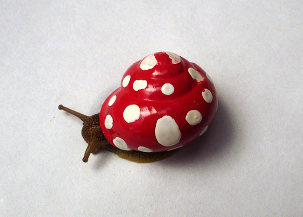 painted-snail-shell-art-18