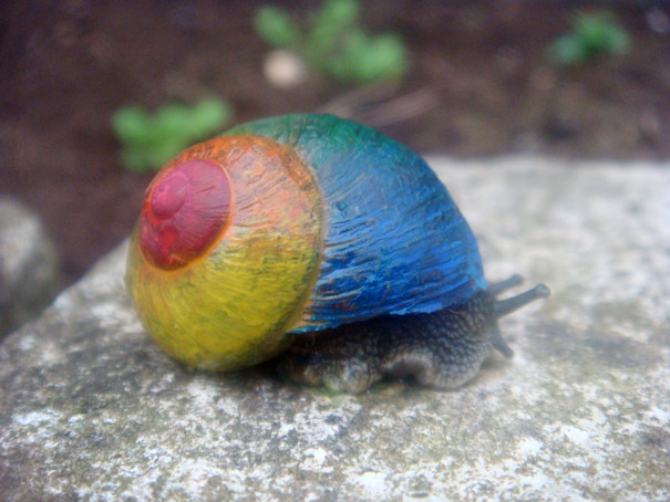painted-snail-shell-art-2
