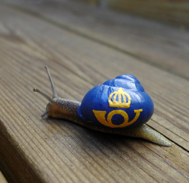 painted-snail-shell-art-3