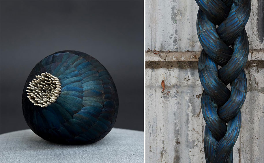Otherworldly Bird Feather Sculptures By Kate MccGwire