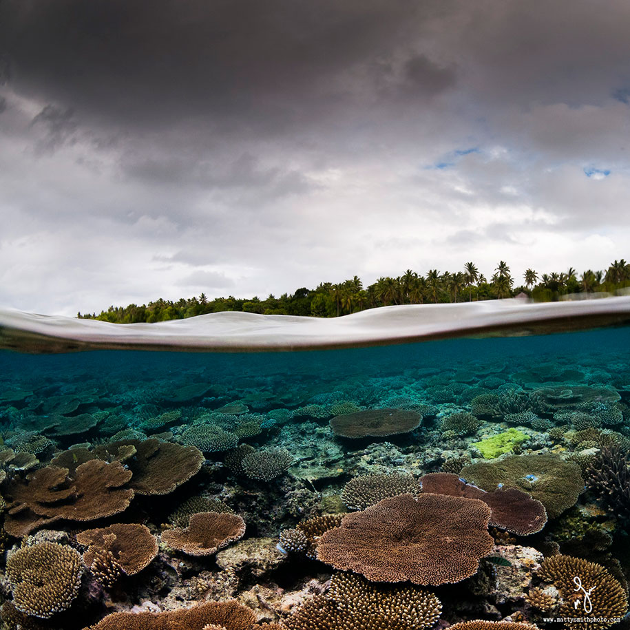 surface half underwater photography over under matty smith 3 - Fotografias espetaculares subaquáticas de Matty Smith