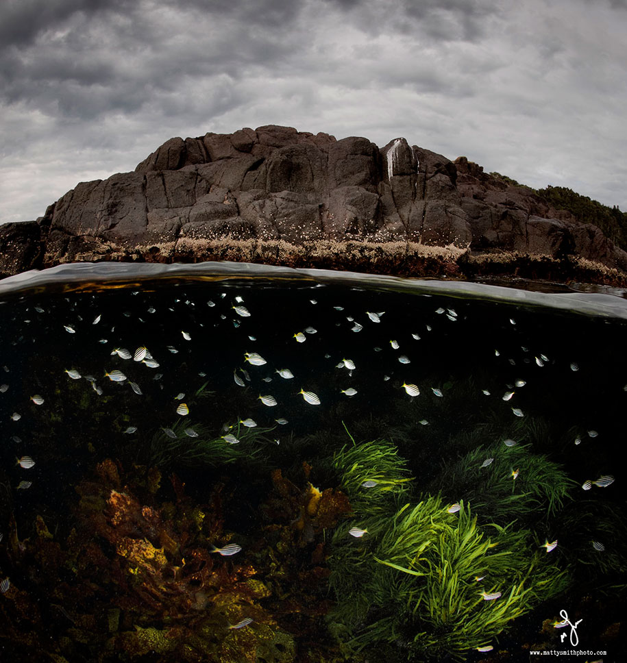 surface half underwater photography over under matty smith 7 - Fotografias espetaculares subaquáticas de Matty Smith