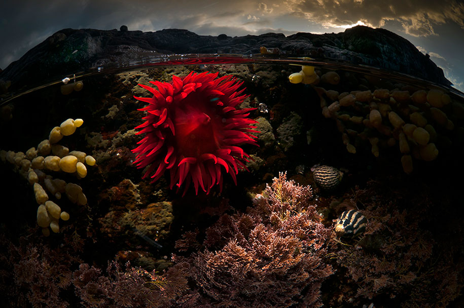 surface half underwater photography over under matty smith 9 - Fotografias espetaculares subaquáticas de Matty Smith