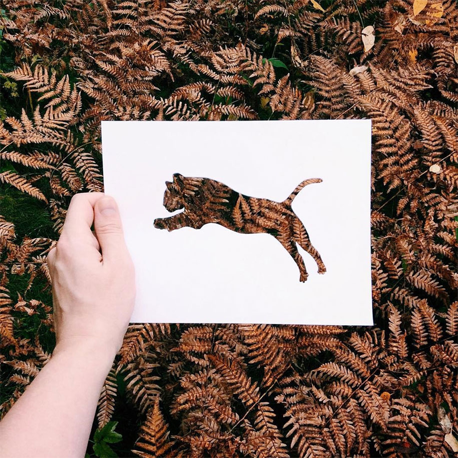 animal-paper-cutout-silhouettes-nikolai-tolstyh -11