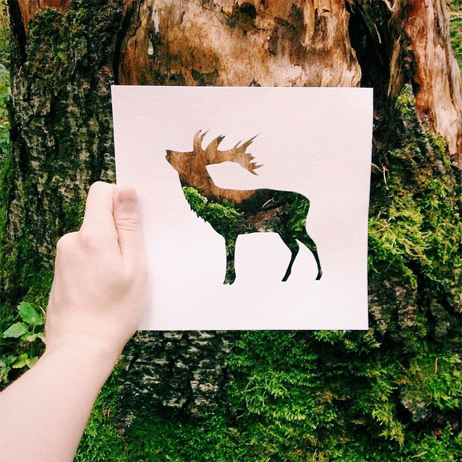 animal-paper-cutout-silhouettes-nikolai-tolstyh -7