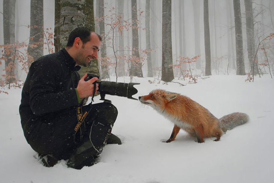 nature-photographer-behind-scenes-animals-16