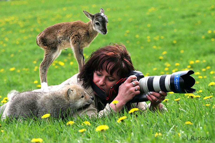 nature-photographer-behind-scenes-animals-22