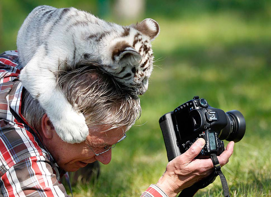 nature-photographer-behind-scenes-animals-28