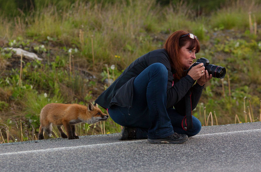 nature-photographer-behind-scenes-animals-9