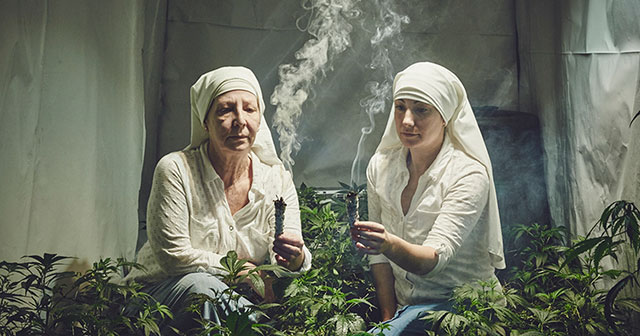 [Image: marijuana-horticulture-sisters-of-the-va...umb640.jpg]