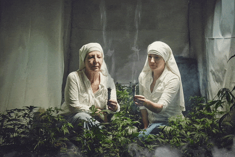 Weed Smoking Nuns Get Hilariously Photoshopped (10 Pics) | DeMilked