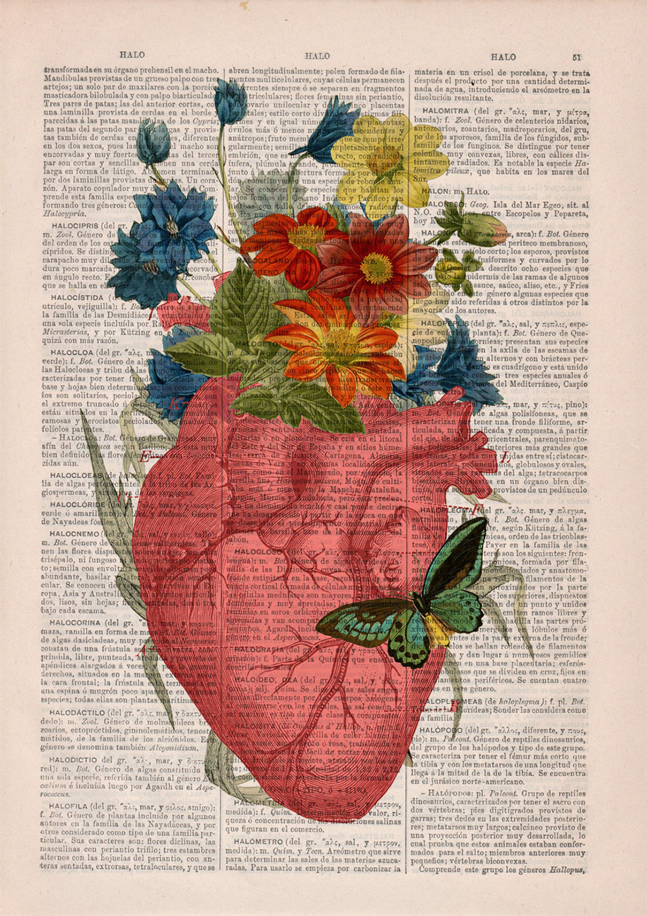 305 best Human Anatomy images on Pinterest | Human anatomy 